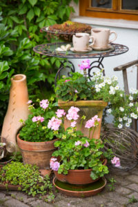 Small garden table with plants Small garden table with plants